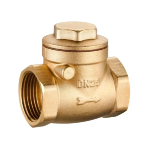 VALVULA RETENCION HORIZONTAL CON CHAPALETA