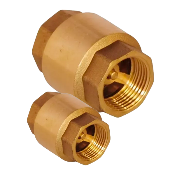 VALVULA RETENCION VERTICAL CHECK